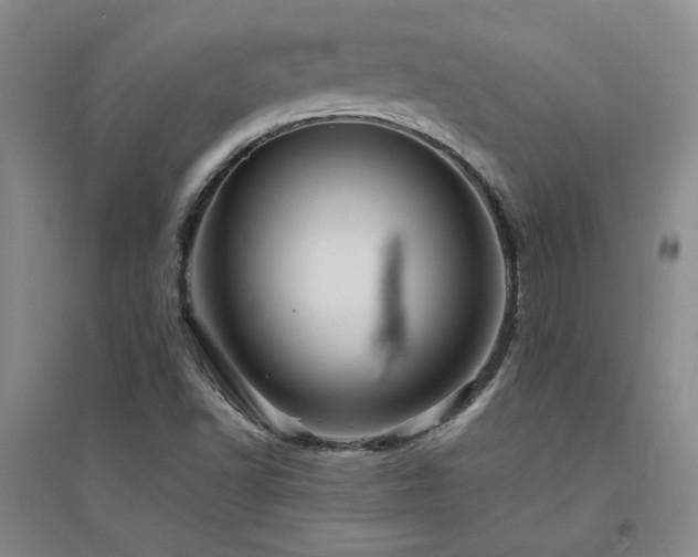 X0000094801502200711161445