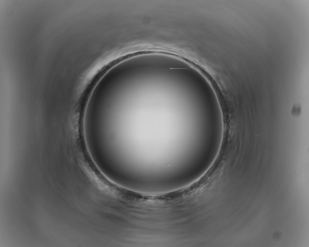X0000094801503200711161445