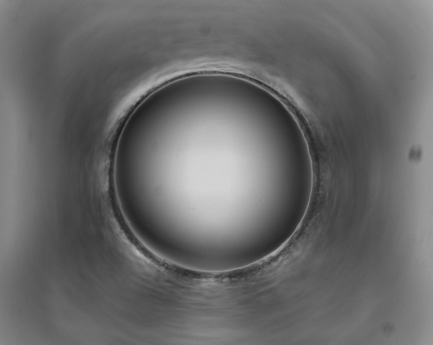 X0000094801504200711161445