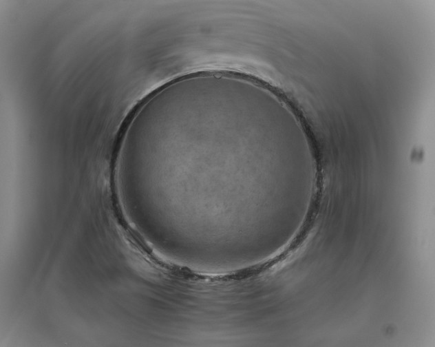 X0000094801505200711161445
