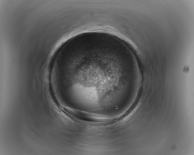 X0000094801506200711161445