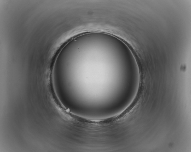 X0000094801507200711161445