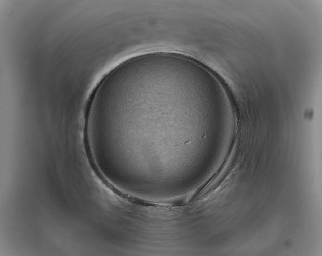 X0000094801508200711161445