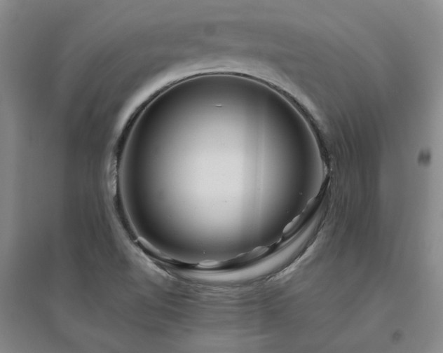 X0000094801510200711161445