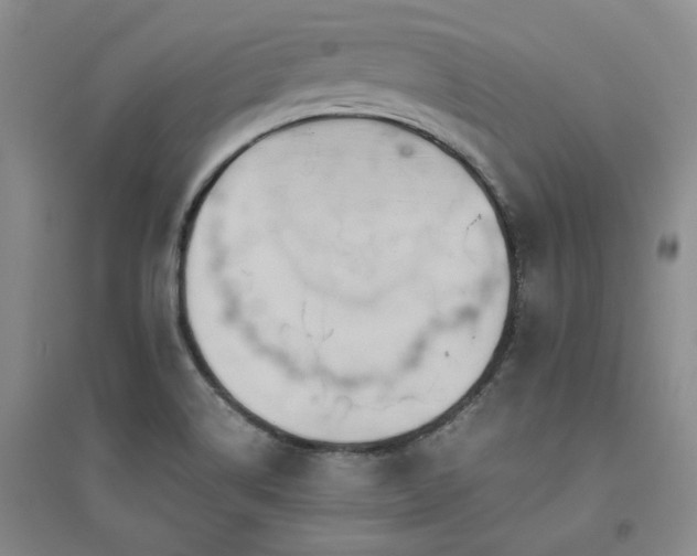 X0000094801514200711161445