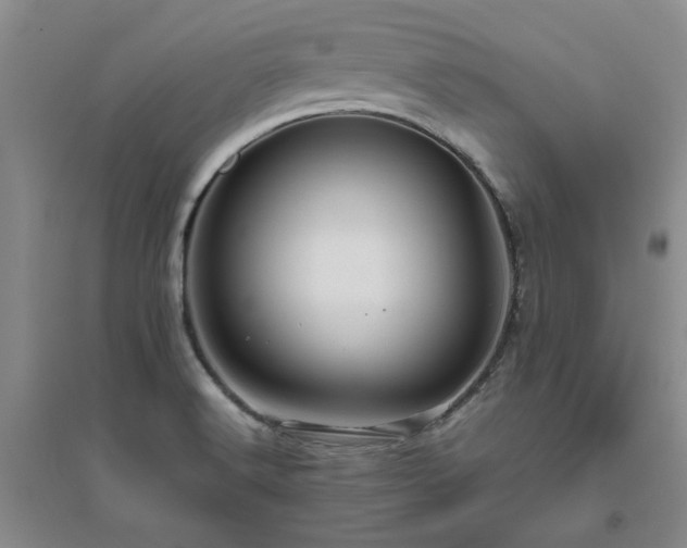 X0000094801516200711161445