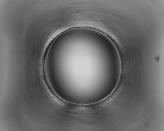 X0000094801517200711161445