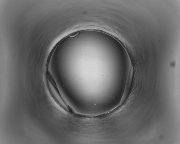 X0000094801518200711161445