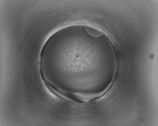 X0000094801519200711161445