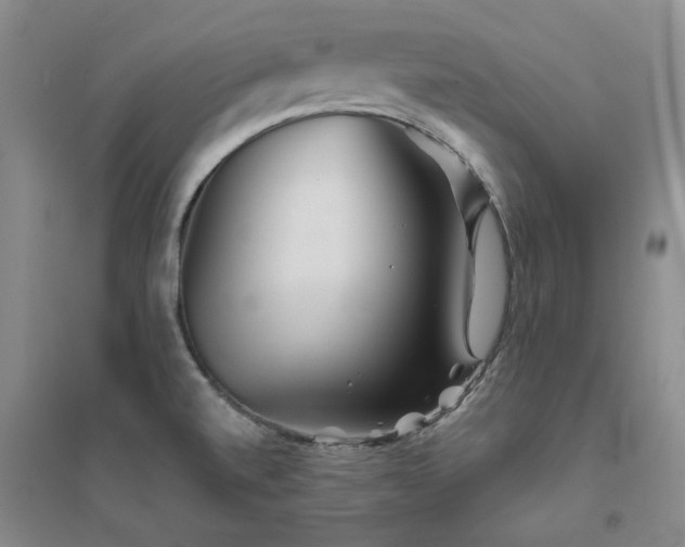 X0000094801520200711161445