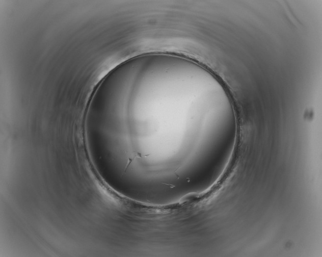 X0000094801521200711161445