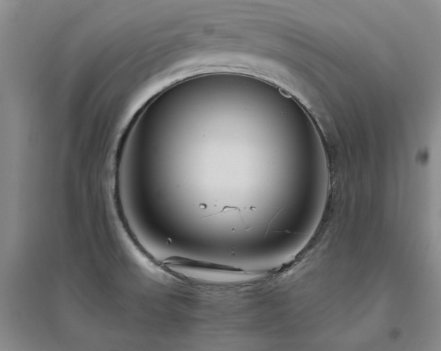 X0000094801523200711161445