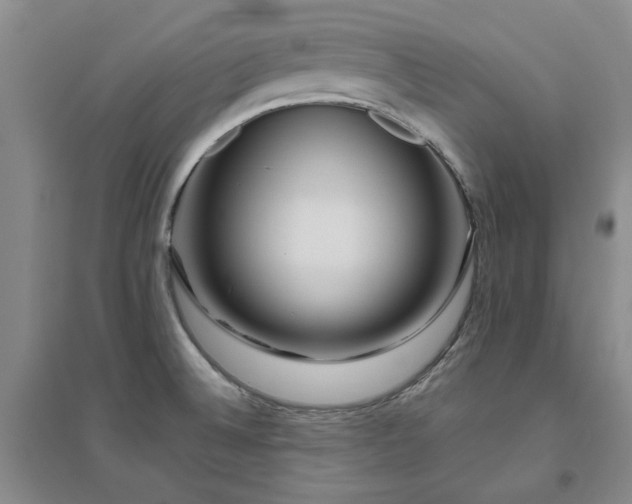 X0000094801524200711161445