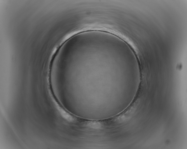 X0000094801525200711161445