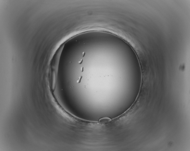 X0000094801526200711161445