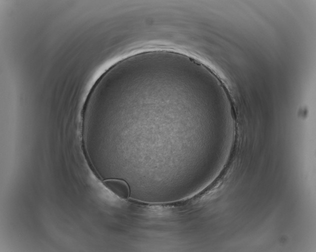 X0000094801527200711161445