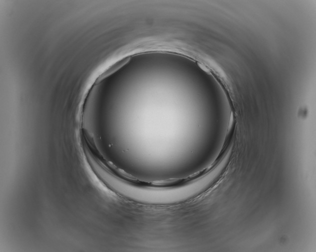 X0000094801528200711161445