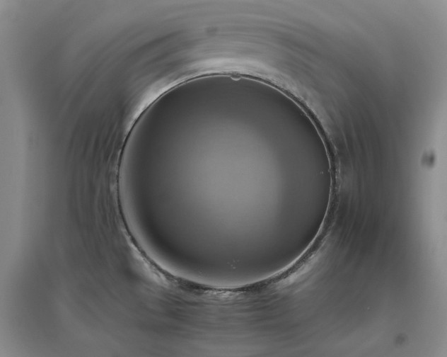 X0000094801529200711161446