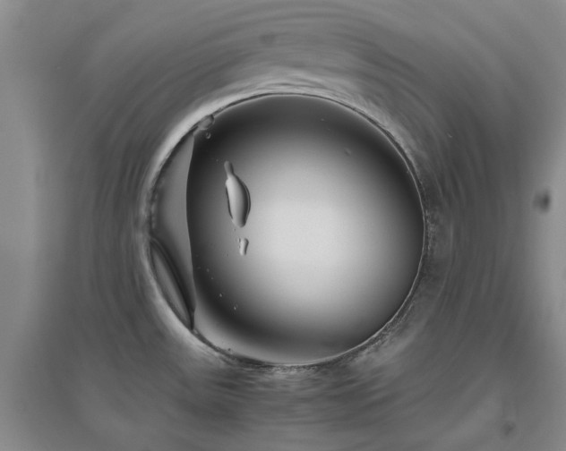X0000094801531200711161446