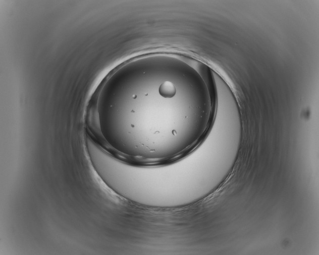 X0000094801532200711161446
