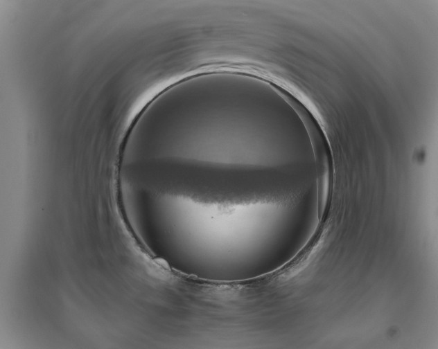 X0000094801533200711161446