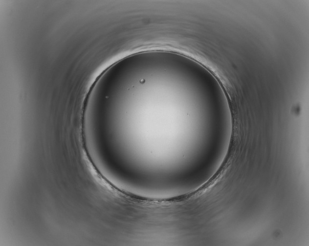 X0000094801534200711161446