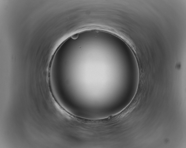 X0000094801535200711161446