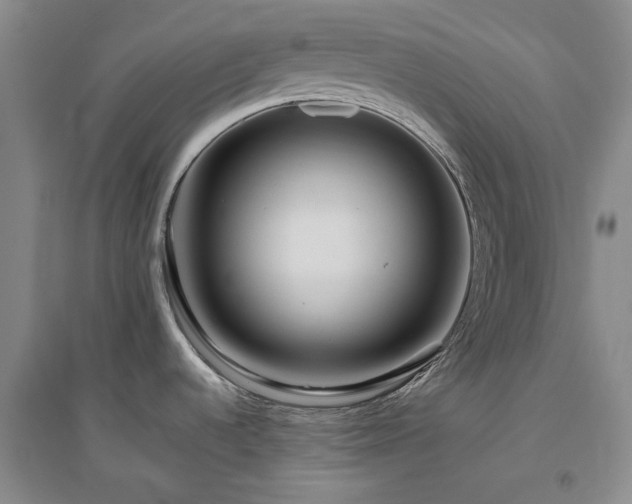 X0000094801536200711161446
