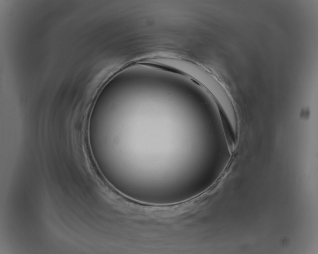 X0000094800001200711241434