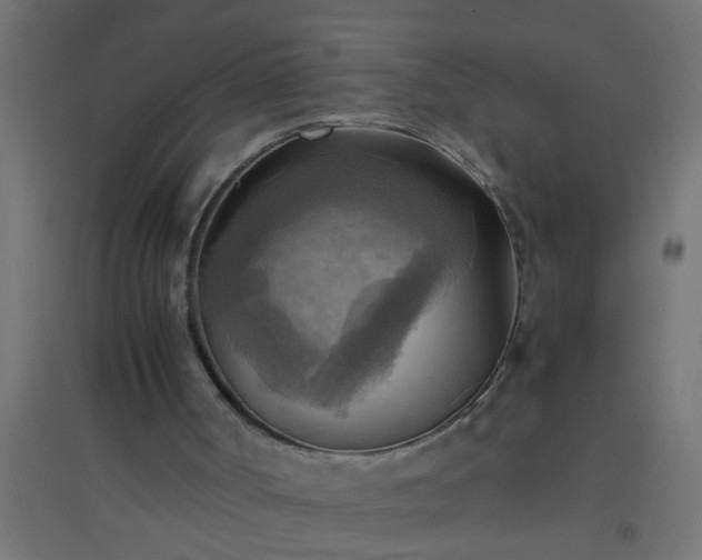 X0000094800002200711241434