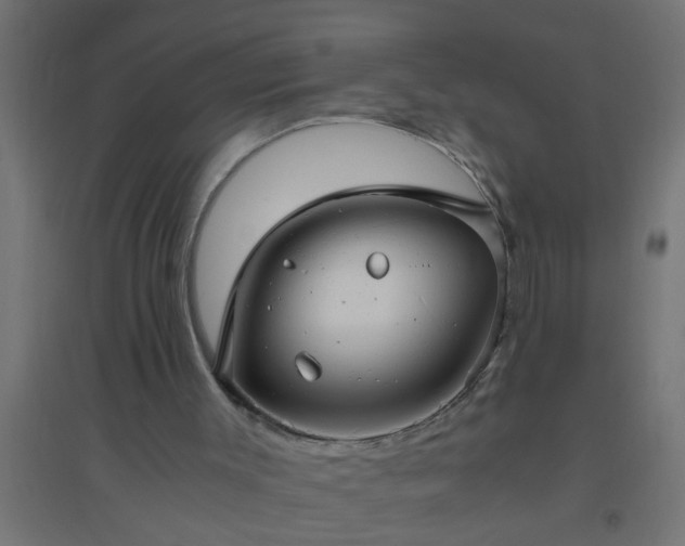 X0000094800003200711241434