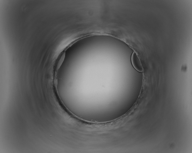 X0000094800005200711241434