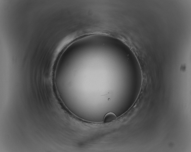 X0000094800006200711241434