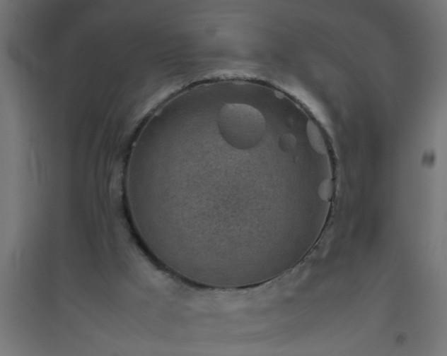 X0000094800009200711241434