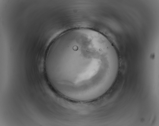 X0000094800012200711241434