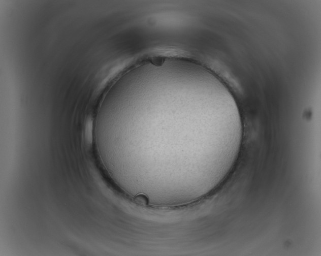 X0000094800014200711241434