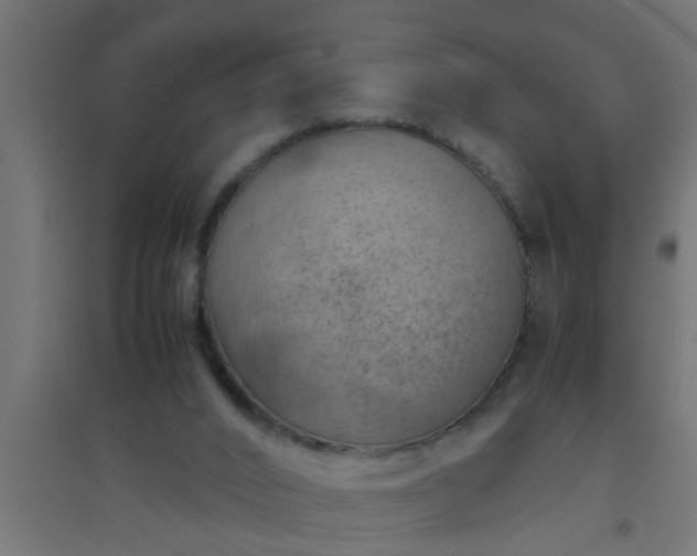X0000094800016200711241434