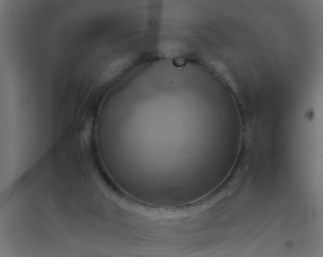 X0000094800018200711241433