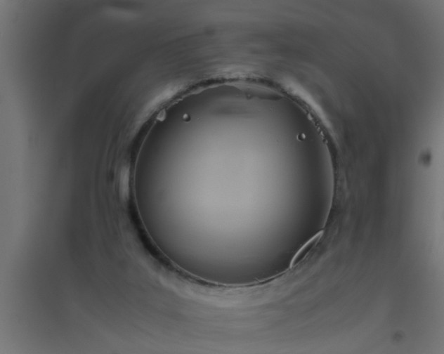X0000094800019200711241433