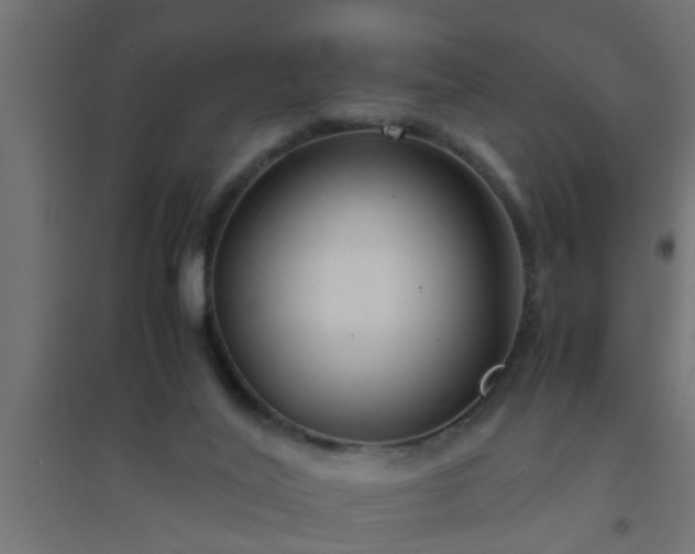 X0000094800020200711241433