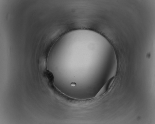 X0000094800021200711241433