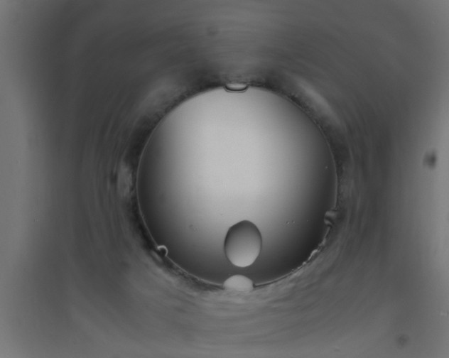 X0000094800025200711241433