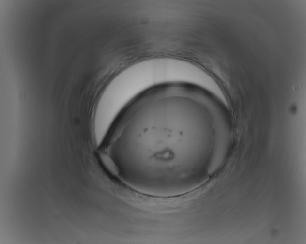 X0000094800027200711241433