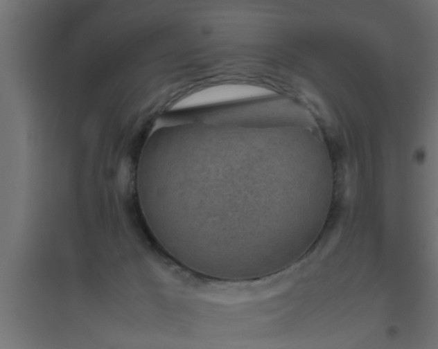 X0000094800029200711241433
