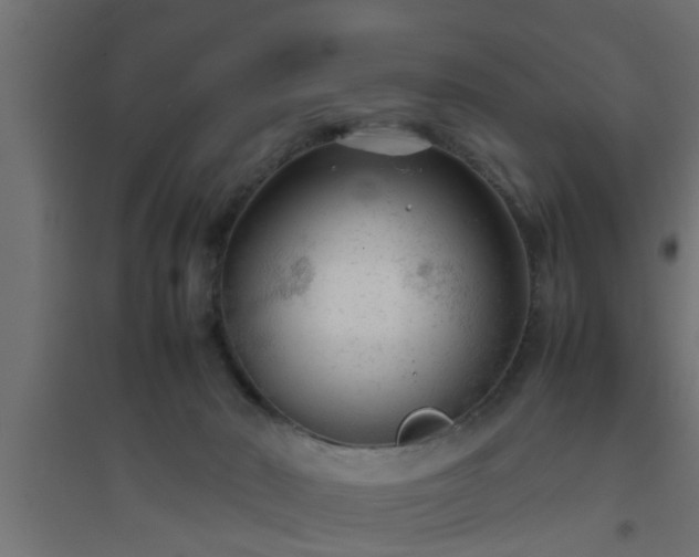 X0000094800030200711241433