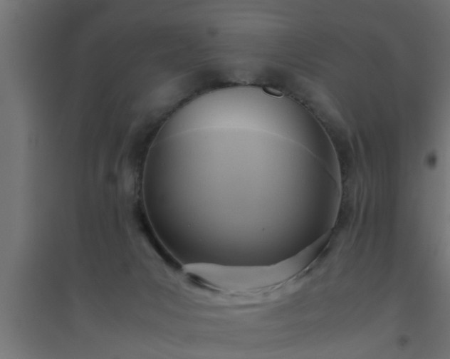 X0000094800031200711241433