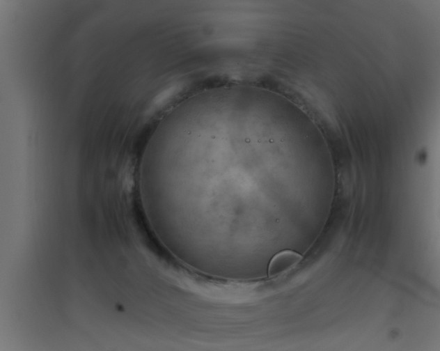 X0000094800032200711241433