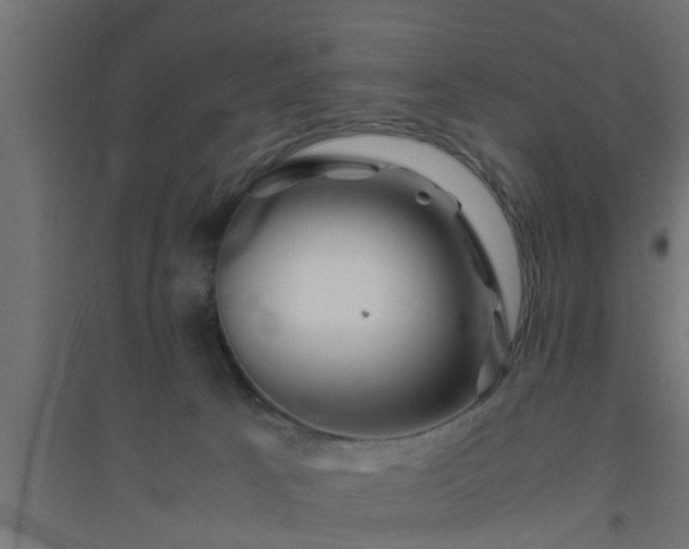 X0000094800033200711241433
