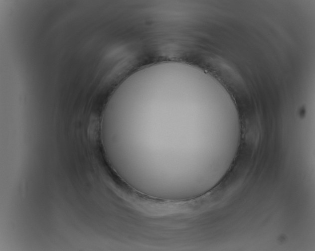 X0000094800036200711241433