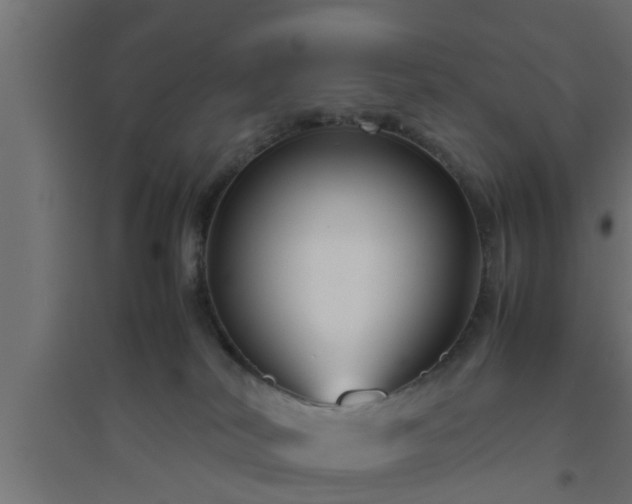 X0000094800038200711241433